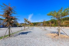 노리터 키즈 캠핑장 고캠핑