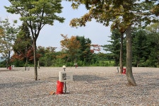 자유로캠핑장 고캠핑