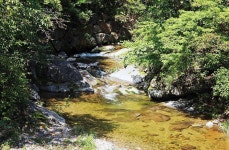 태백고원자연휴양림 자동차야영장