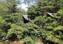 태백고원자연휴양림 자동차야영장 고캠핑