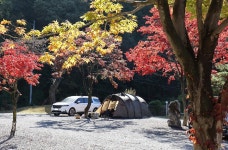 가평랜드 캠핑&카라반 고캠핑