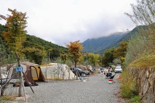 비타민 팜 오토캠핑장