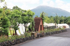 아이올레 인 포레스트 캠핑