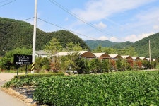 솔밭사이로 캠핑&펜션 고캠핑