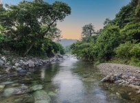 양평힐링계곡 오토캠핑장 고캠핑