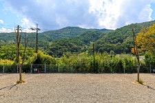 풀꽃이랑 캠핑장