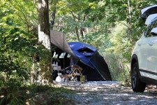 춘천 더숲 캠핑장