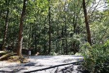 춘천 더숲 캠핑장