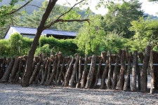 법수치오토캠핑장 고캠핑