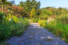 THE쉼오토캠핑장 고캠핑