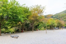 타닥타닥캠핑장 고캠핑