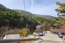 별품은숲속