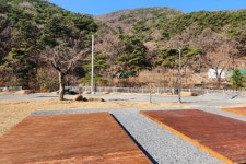 별품은숲속