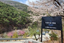별품은 숲속 캠핑장 고캠핑