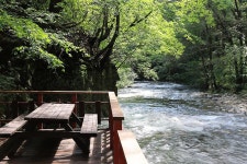 이편한캠핑 고캠핑