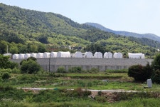 트라움 풀 빌라 글램핑&카라반