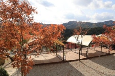 금동휴양림캠프1