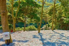 진도 카멜리아 힐즈 오토캠핑장