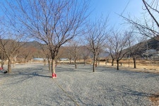 늘푸른캠핑장 고캠핑