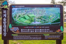 충주 목계솔밭 캠핑장