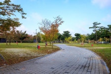 충주 목계솔밭 캠핑장 고캠핑