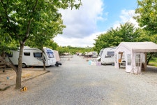 트리팜 관광농원