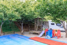 트리팜 관광농원