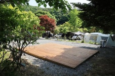 숲에서 놀자 고캠핑