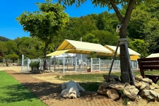 감동스테이캠프