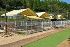 감동스테이캠프 고캠핑