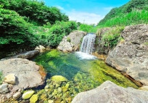 자작나무뜰 오토캠핑장 고캠핑