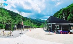 자작나무뜰 오토캠핑장 고캠핑