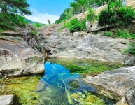 자작나무뜰 오토캠핑장 고캠핑