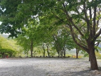 양지마을야영장