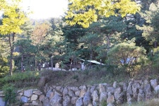 포레스트벨리캠프 고캠핑