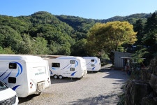 포레스트벨리캠프