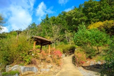 Foto de resultados de búsqueda de Naver 6