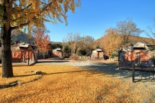 마루노리 고캠핑