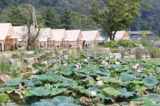 한국관광공사 고캠핑 고캠핑
