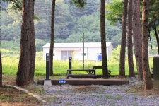 평창 국민여가캠핑장 고캠핑