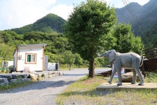 코끼리마을 고캠핑