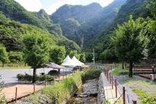 코끼리마을 고캠핑