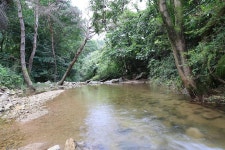 다올 오토캠핑장