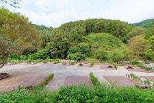 성수산 왕의숲 국민여가캠핑장 고캠핑