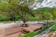 성수산 왕의숲 국민여가캠핑장 고캠핑