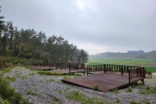 다온 오토캠핑장