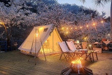 충주호더쉼캠핑장 고캠핑