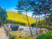 STX오토캠핑장 고캠핑