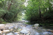 600마지기 가는길 야영장 고캠핑