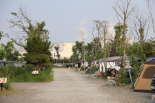 버드오토캠핑장 고캠핑